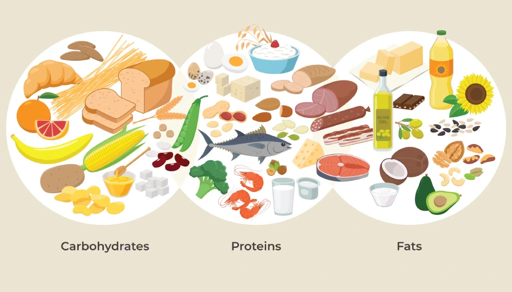 تغذیه مناسب قبل از ماراتن